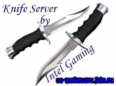Knife server